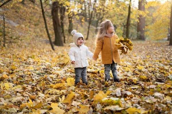 Anaokulu çağındaki iki kız kardeş ormanda düşen sarı akçaağaç yaprakları üzerinde yürür. Sonbahar parkında yürüyüş yapan çocuklar buket topluyor. Günbatımında açık havada sonbahar serin havasının tadını çıkarıyor. Sağlıklı yaşam tarzı