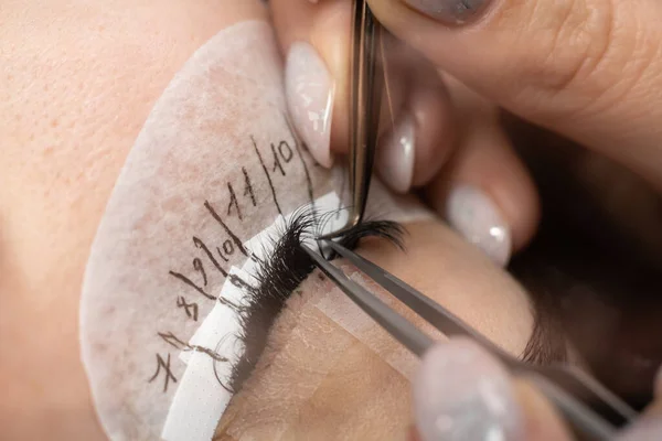 Eyelash Extension Procedure Female Eye Eyelashes Macro Selective Focus — стоковое фото