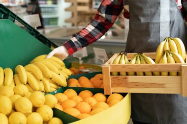 Süpermarkette kutular üzerinde muzlar, market çalışanı meyve reyonundaki bir kutuya olgun muzlar koyuyor, organik alışveriş konsepti.