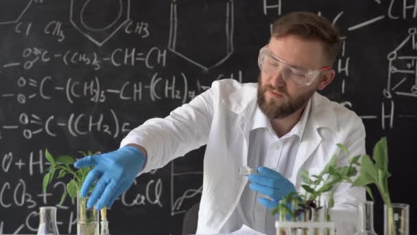 Male biochemist works in a laboratory on plants against the background of a blackboard with formulas, holds a petri dish with a leaf of a plant in his hands, drips a chemical reagent from a pipette — Video