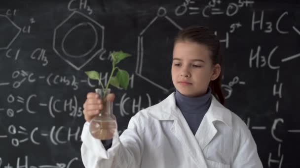 Studente caucasico ragazza in un mantello bianco tiene una provetta e una pianta di pepe studia biologia vegetale in laboratori, — Video Stock