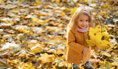Sonbahar yeşillik geçmişi, gülen kız sonbahar parkında veya ormanda yürüyor, sarı yapraklar çocuğun elinde, eğlence özgürlüğü kavramı.