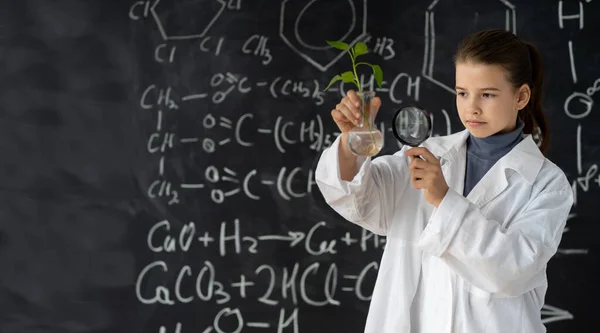 Young girl studies small plant in elementary science class. student holding magnifying glass. Earth day holiday concept. World Environment Day. Educational concept.