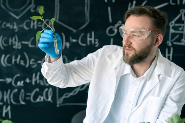 Micromicrobiologiste Masculin Travaillant Laboratoire Examinant Des Plantes Dans Des Éprouvettes — Photo
