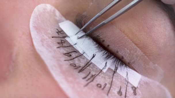 Wimperverlengingsprocedure Close Van Een Vrouwenoog Met Lange Wimpers Macro Schoonheidssalon — Stockvideo