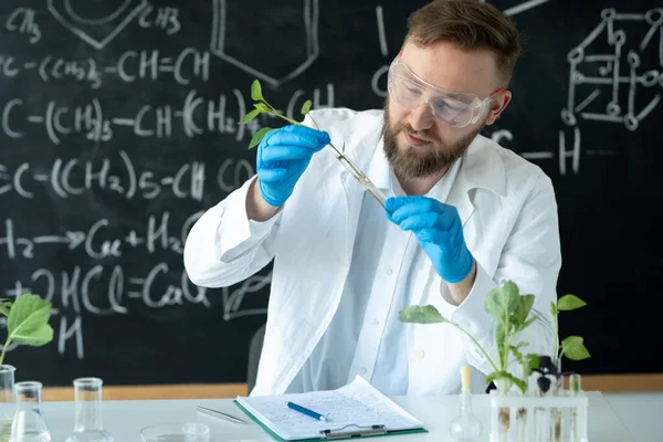 Biologist conducts experiments experimenting with plant breeding by synthesising compounds, with use of a test tube in a modern Laboratory