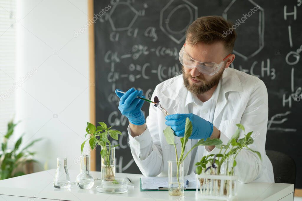 Male microbiologist adding biological vitamins and minerals from a syringe to growing green plants. GMO plant in lab. Medical scientist working in a modern food science laboratory.