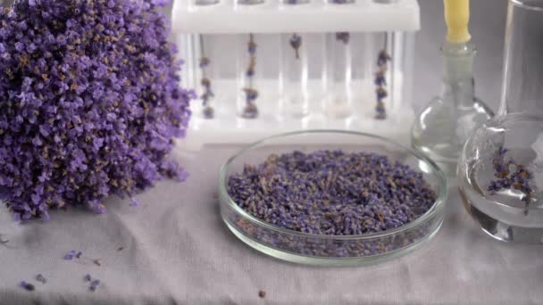 Trockener Lavendel Und Frische Lavendelblüten Top View Lavendelblüten Für Beutel — Stockvideo