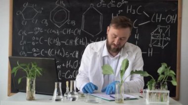 Gözlüklü bir erkek biyokimyacı, laboratuvarda formüllü bir karatahtanın arka planına karşı bitkiler üzerinde çalışır. Genetik olarak değiştirilmiş tohumlarla dolu bir test tüpü alır ve onları inceler..