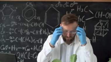 Gözlüklü bir erkek biyokimyacı, laboratuvarda formüllü bir karatahtanın arka planına karşı bitkiler üzerinde çalışır. Genetik olarak değiştirilmiş tohumlarla dolu bir test tüpü alır ve onları inceler..