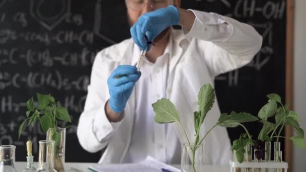 Мужчина Биохимик Работает Лаборатории Растениях Фоне Доски Формулами Держит Чашку — стоковое видео