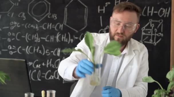 Male Biochemist Works Plants Laboratory Background Blackboard Formulas Holds Test — Video