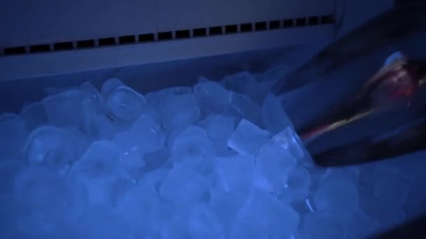 Primer Plano Mano Recogiendo Hielo Máquina Hielo Con Una Espátula — Vídeos de Stock