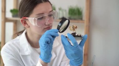 Yakışıklı bir mikrobiyolog örnek şişesinde büyüteç olan ölü bir bitkiye bakıyor. Modern bir gıda laboratuvarında çalışan bir tıp bilimcisi. başarısız deney laboratuvar asistanı