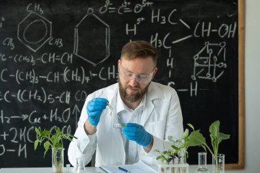 Modern bir laboratuvarda, araştırmacı test tüpündeki bitki ve damlaları kullanarak bileşikleri sentezlemekle ilgili deneyler yapıyor. Tahtanın arka planındaki laboratuvarda çalışan bir bilim adamı. GDO kavramı