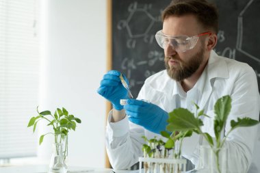 Laboratuvarda biyokimyacı bitkiler için damlatıcı kullanıyor, bir petri kabında yetişiyor. Bileşikleri sentezleyerek deneyler yapar