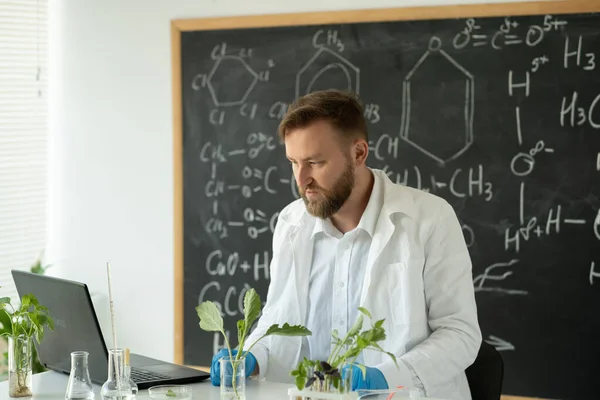 Male Scientist Working Laptop Computer Creating Lab Grown Food Plants — 스톡 사진