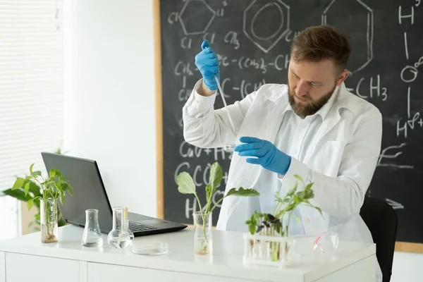 Biotechnologist is researching on laptop computer. Scientist working at microbiology laboratory. man is conducting experiments, tests with plants. Biologist workplace concept.