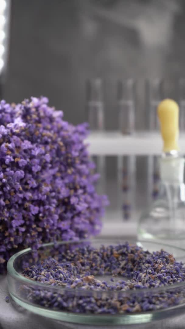 Dropper Bottle Essential Lavender Oil Mortar Dry Lavender Flowers Sachets — Vídeo de Stock