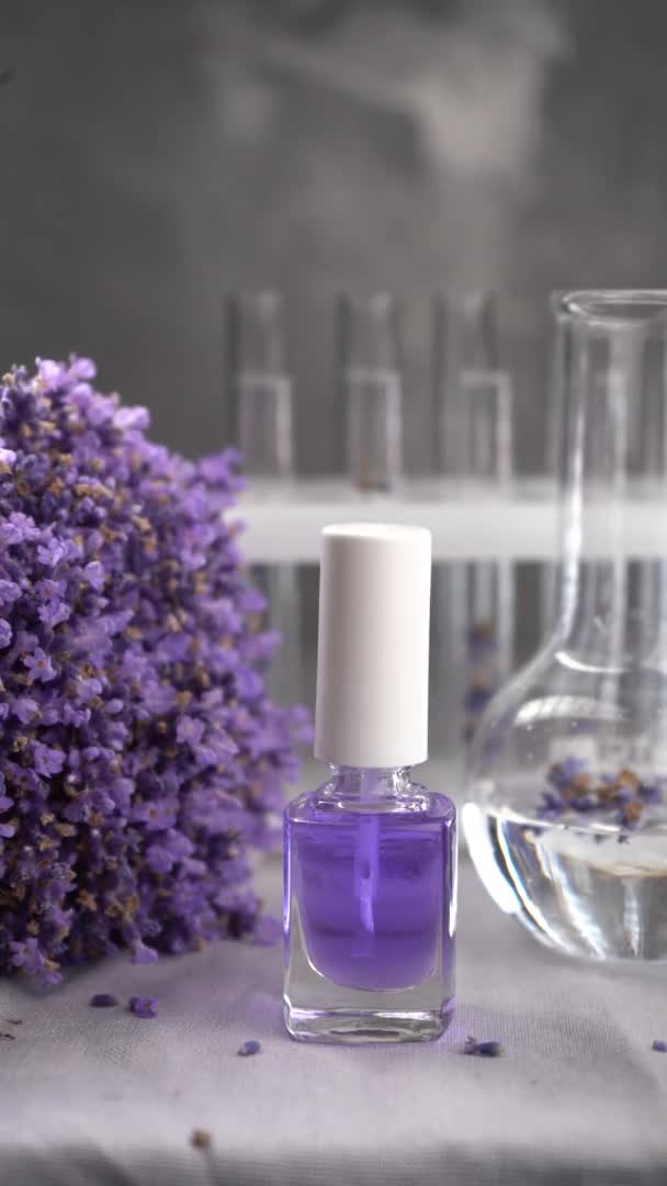 Glass Bottle Lavender Essential Oil Fresh Lavender Flowers Brush Oil — Vídeo de Stock