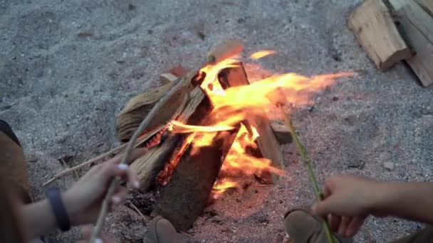 Sitting Fire Grilling Sausages Fire Spending Time Friends Warm Top — Wideo stockowe