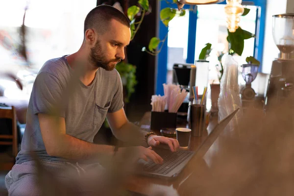 New business owner counting profit working on laptop at cafe or bar. copy space