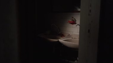 Terk edilmiş bir odada, elinde fenerle yiyecek ve su arayan bir sapık. Ürün arayan bir araştırmacı konsepti.