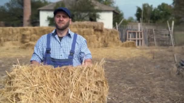 Fiatal Farmer Kockás Ingben Dolgozik Mezőn Vidéken Száraz Szalmabálát Szállít — Stock videók