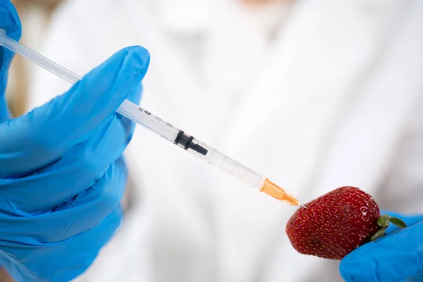 Close up of hands food scientist injecting tomato with a syringe in a modern laboratory. She\'s working on a genetic modifications of this vegetable. GMO concept