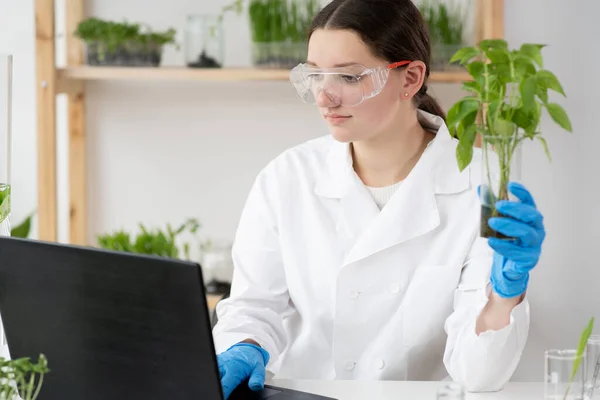 女性微生物学家 眼镜上有健康的绿色植物在样本瓶中 在拥有先进技术计算机的食品科学实验室工作的医学科学家 — 图库照片