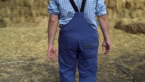 뭉치를 가지고 농사를 농작을 뭉치를 가지고 다니는 농사일 농사짓는 상징하는 — 비디오