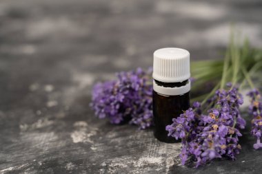 Aromaterapi aletleri, yağ şişeleri ve lavanta çiçekleri. Bir şişe gerekli yağ ve gri arka planda lavanta çiçekleri. aromaterapi masaj konsepti. Lavendula oleum