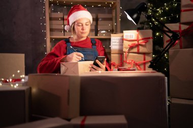 Bayan küçük işletme sahibi Noel Baba şapkası takıyor. Paketleri kontrol etmek için mobil uygulama kullanıyor. Cep telefonu satan genç bir kız depoda teslimat için Noel perakende posta paketi hazırlıyor.