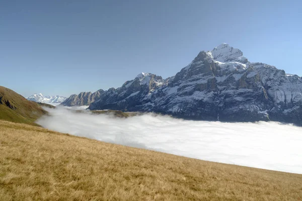 谷の山と雲 山の中で自然景観の高い 雲の中を山の範囲 夏の風景です スイスのグリンヴァルト — ストック写真