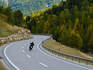 Back view of motorcyclist in black jacket and helmet riding sportbike along twisty road between tall green trees. Active lifestyle, love to adventures concept.