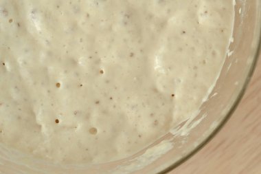 Bir kasedeki maya hamuru (pizza, ekmek, ekşi ekmek, ekmek için))