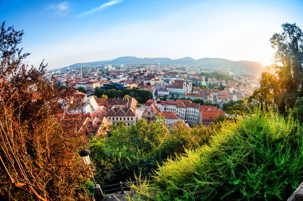 Pohled na město graz od Schlossbergu v létě — Stock fotografie