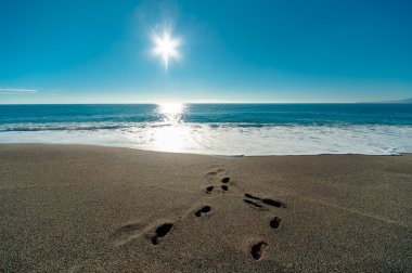 Sunny day, blue sea and footprints in the sand clipart