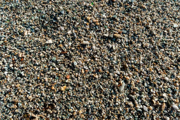 Pebble pedra fundo — Fotografia de Stock