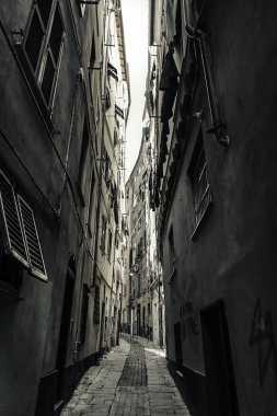 Cenova
