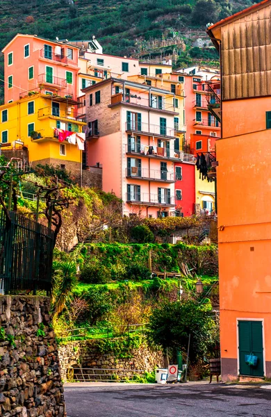 Άποψη του manarola — Φωτογραφία Αρχείου