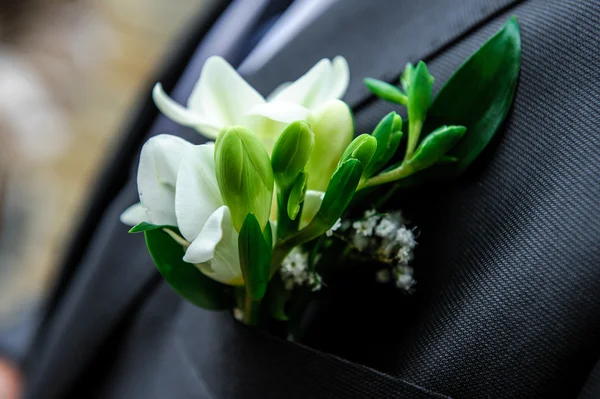 Buttonhole — Stock Photo, Image