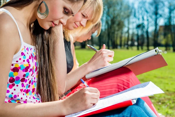 Grupo de estudantes que estudam ao ar livre — Fotografia de Stock