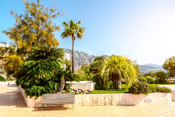 Lege straat van monaco — Stockfoto