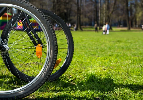 Bicycle wheel on a green field — Stock Photo, Image