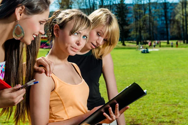 Grupo de estudiantes que estudian al aire libre — Foto de Stock