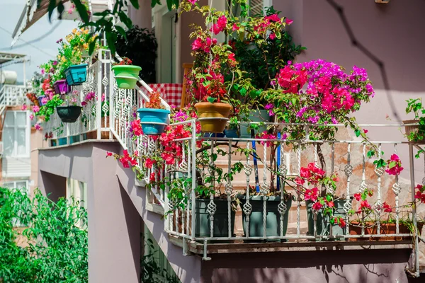 Bloemen op balkon — Stockfoto