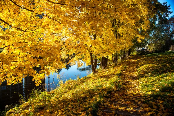 Picturesque autumn landscape. Sigulda, Latvia — Stock Photo, Image