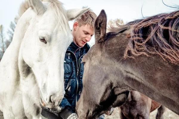 Hombre y caballos al aire libre — Foto de Stock