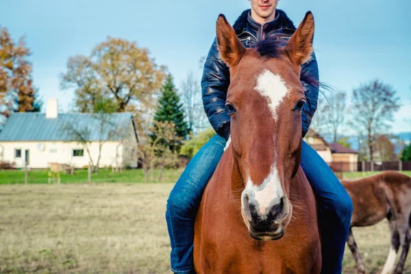 Hombre montado en un caballo marrón — Foto de Stock